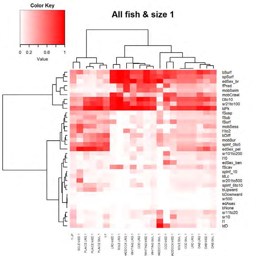 Data was reanalysed according to species and size group with the taxa found in each habitat under fished and unfished conditions