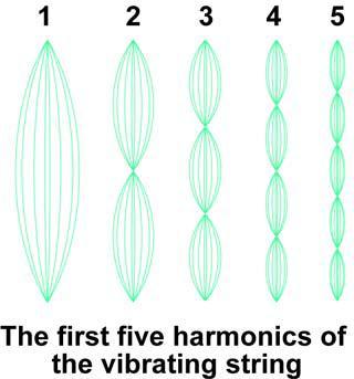 The lowest natural frequency is called the. A vibrating string also has other natural frequencies called. Determine the number harmonics by counting the number of bumps.