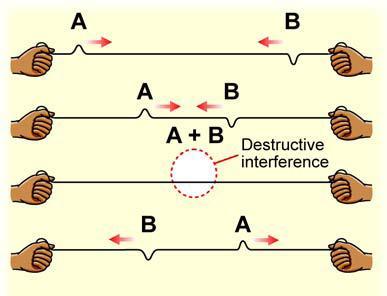 Destructive interference There is another way to add two pulses. When the pulses meet in the middle, they cancel each other out. One pulse pulls the string up and the other pulls it down.