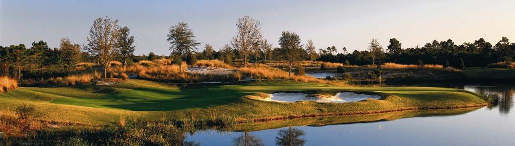 TEE TIME The golf collection of Camp Creek, Shark s Tooth and Origins SM offers discerning golfers a rare assembly of three legendary golf course designers all within an 11-mile radius.