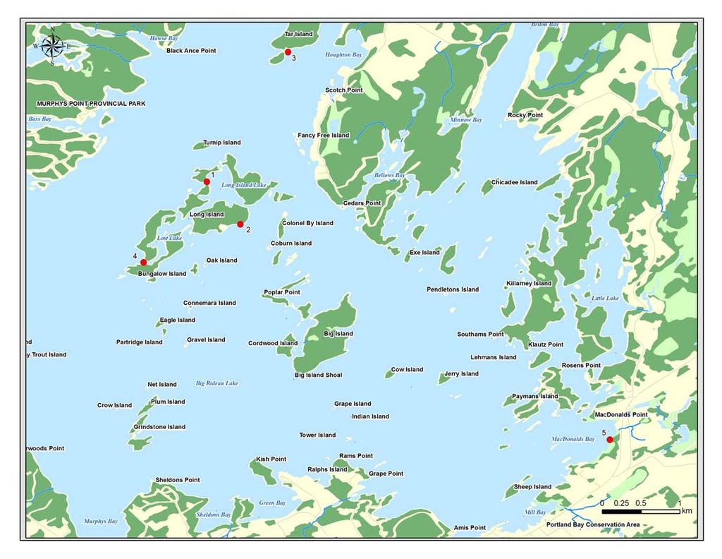 Figure 2. Sites sampled in Big Rideau Lake (sites 1 to 5) in 2005.