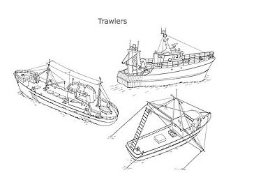 18 Table. 1.1. Fishing Vessels by Type TRAWLERS LONGLINERS Factory Trawlers Freezer Trawlers Wet-fish Trawlers