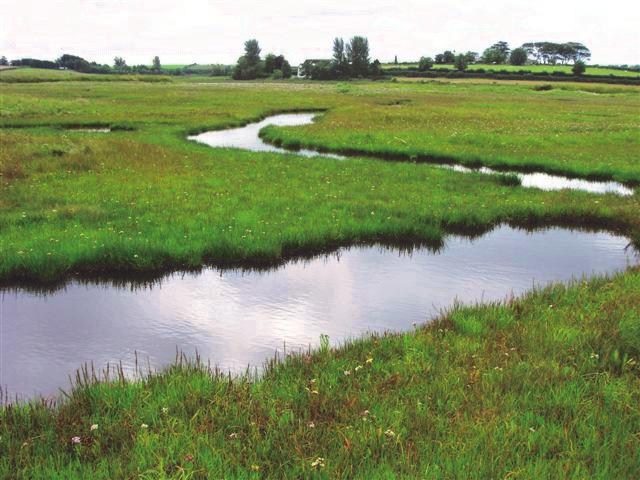 DEFINITION OF WETLANDS For the purpose of the Regulations, Northern has adopted an internationally recognised definition of wetlands, contained in Article 1(1) of the Ramsar Convention 3.