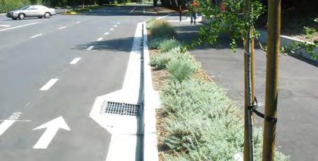 The striping is supported by pavement markings and signage. Class II bike lanes are typically used on streets with higher traffic volumes or greater speeds.