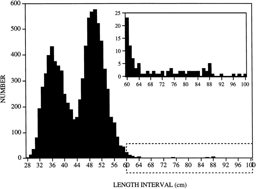 BIOLOGY AND ENVIRONMENT Fig. 1 Silver eels trapped in the Burrishoole system between 1986 and 1994 (n=8612). Inset shows the 60 100cm portion of the graph with an expanded scale.