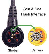 Sea & Sea Motormarine II/EX (and SX-1000) Flash Interface The principal differences between the Sea & Sea MM2 and the Nikonos interface protocols are as follows: X: The flash ready function is