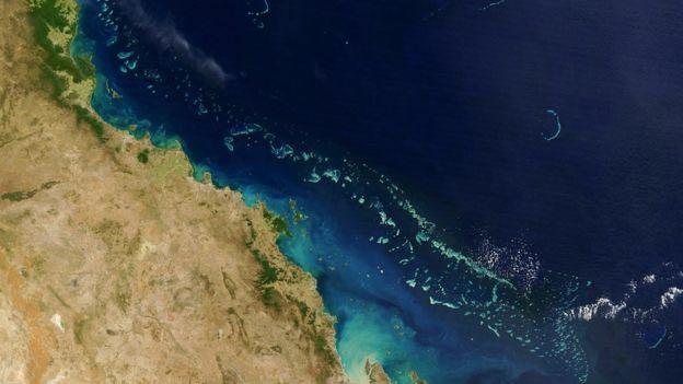 Image copyright GETTY IMAGES Image caption The Great Barrier Reef is the world's largest living structure and can be seen from space.