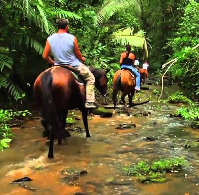 GO SEE BELIZE Horseback Riding Ideal for both experienced and non-experienced riders.