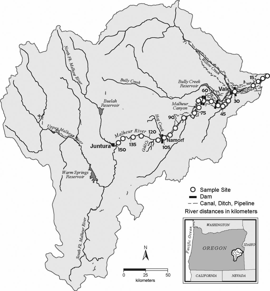 Figure 1. Sampling reaches and dams located within the lower Malheur River sub-basin.