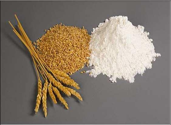 Oats was cleaned from foreign materials and oat groats were ground in an hammer mill equipped with 1 mm