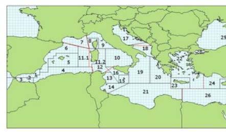 6 Introduction Scope of the analysis and ensuing recommendation This report is on the Mediterranean and Black Seas small pelagic fisheries for European anchovy (Engraulis encrasicolus) and Atlantic