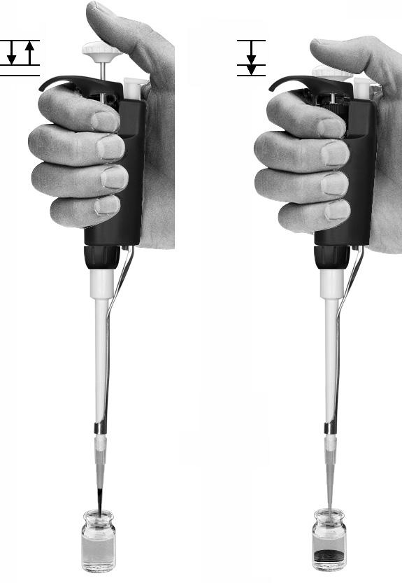 Tip Angle The tip angle is also important the pipette should always be used in a position within 20 degrees of vertical. See Figure 3 below.