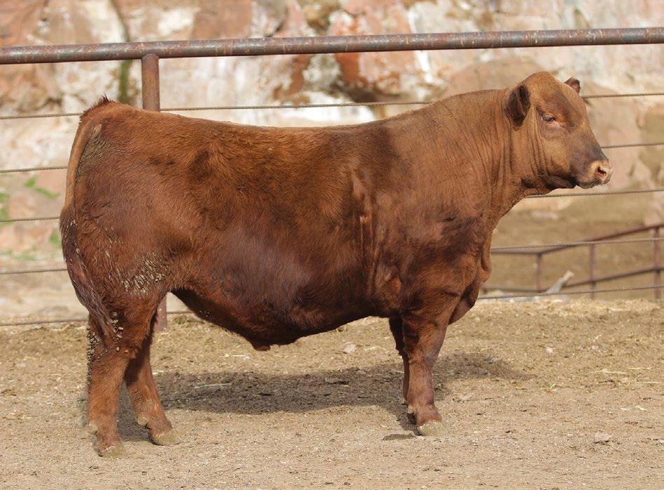 VF ACQUISITION E827-1340 March 15, 2017 Reg# 3788235 Scrotal 38 BROWN ALLIANCE X7795 PCHFRK AMY ALLIANCE 1340 DUNN AMY 1031 1 74 591 1413 149 57 6-0.9 75 124 16-1 14 4 11 0.69 0.01 43 0.2-0.