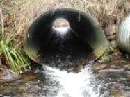 Stream Water Road Culvert Invert New Culvert