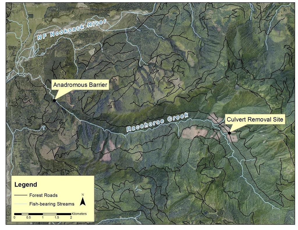 Figure 1. Vicinity map of study site on unnamed tributary to Racehorse Creek near Kendall Washington.