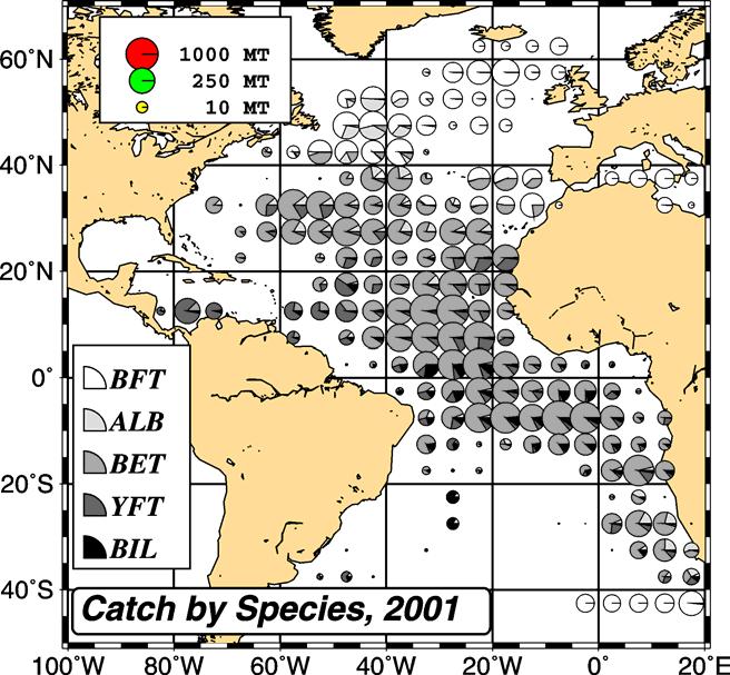 NATIONAL REPORT JAPAN Fig. 5. Geographic distribution of the blue marlin catch (in number) in the Atlantic for 2002 (left) and 2001 (right).