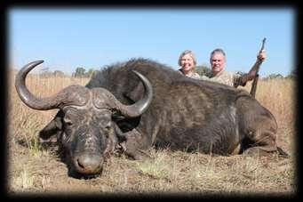 Charles, Dennis and Sandra headed straight for the Kalahari for a challenging Lion hunt, with a crossbow.