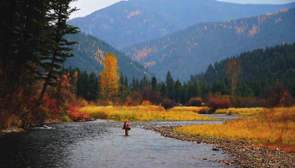 Rock Creek ock Creek is the quintessential freestone trout stream in Western Montana. Careful regulations, limited development and ready access, all contribute to the allure of Rock Creek.
