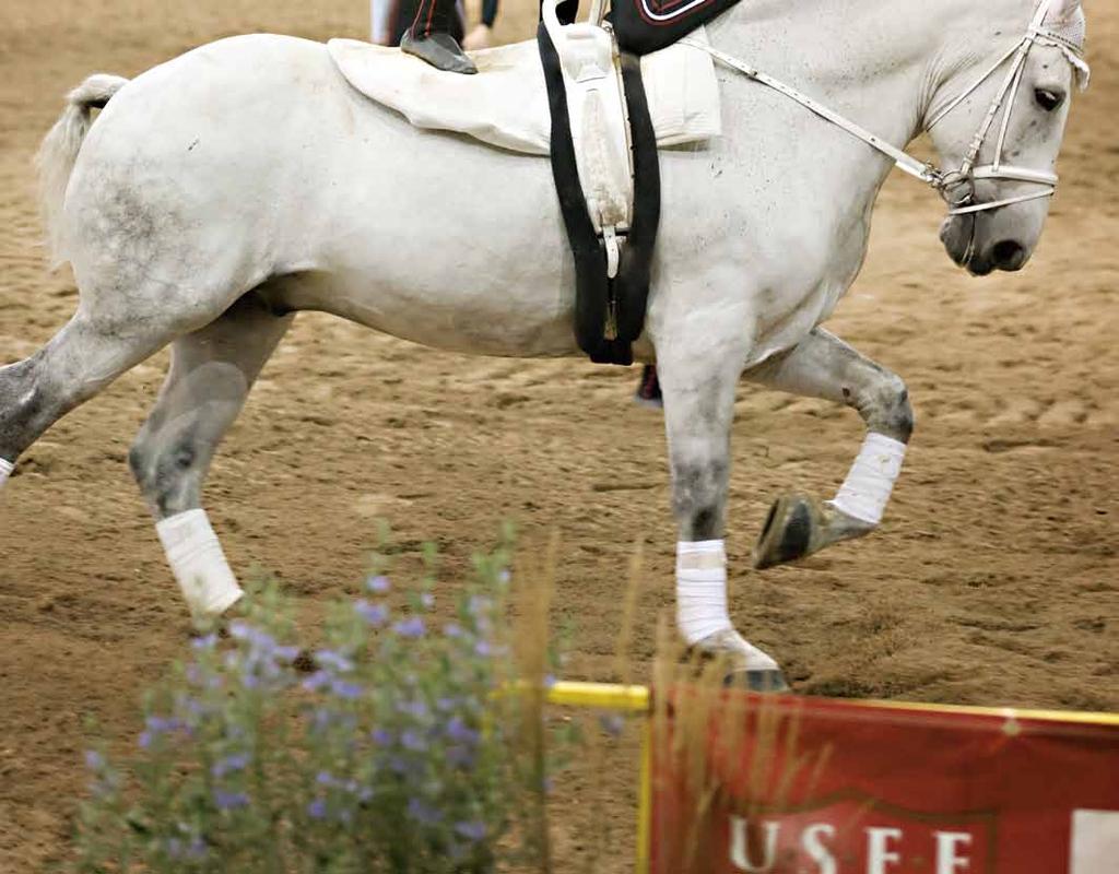 Rachel Herrera and Geoffrey Woolson perform their C Team freestyle with Cheval and Carolyn Bland at the 2011 USEF/AVA
