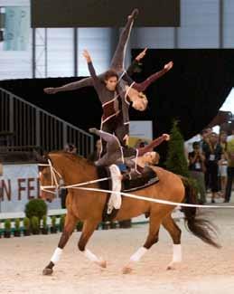 Feature Equestrian Vaulting magazine sat down with Melanie Vizzusi, a master seamstress and custom uniform maker with over fifteen years of experience making vaulting costumes.