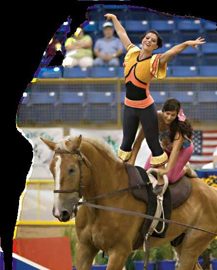 From the President If you Want Something Done... How does a non-profit like the American Vaulting Association grow and succeed?