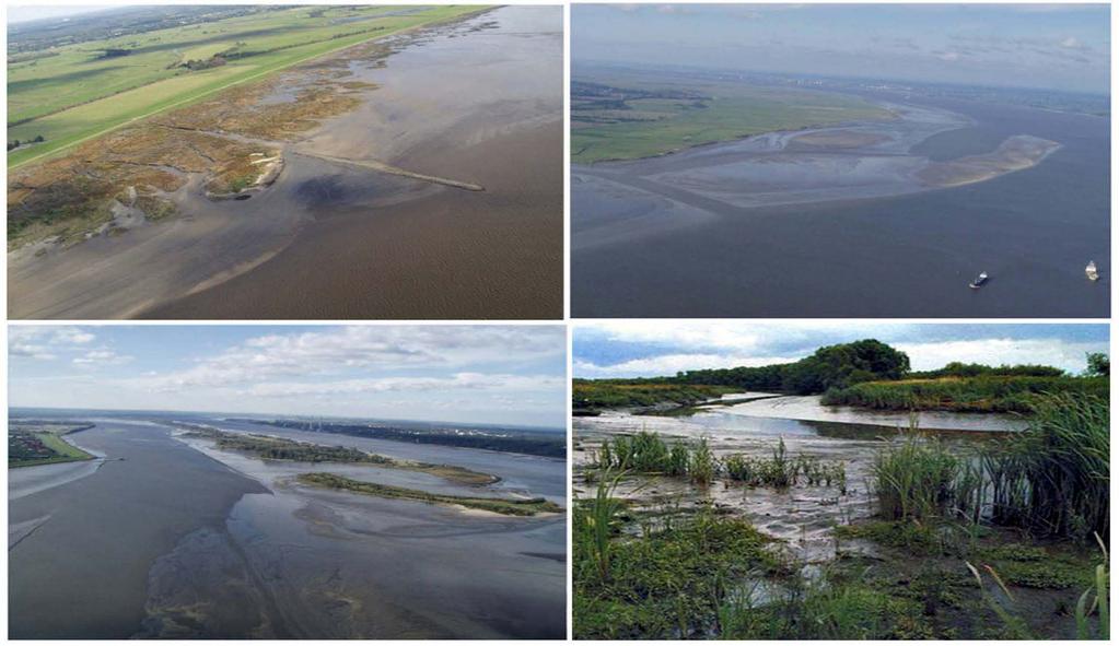 Changing Estuary: Tidal Pumping Nachteilige Veränderung: Verlandung silting up of