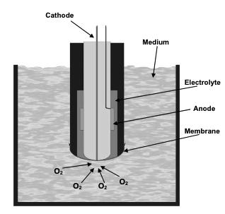 reduced at the cathode (it is chemically converted to OH - ). The resulting current is directly proportional to the dissolved oxygen content of the electrolyte.