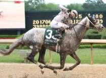 Broke his maiden at a mile over a fast 10/3/15 KEE Coady Photography Churchill strip last September & Romans has said, He loves Churchill Downs.