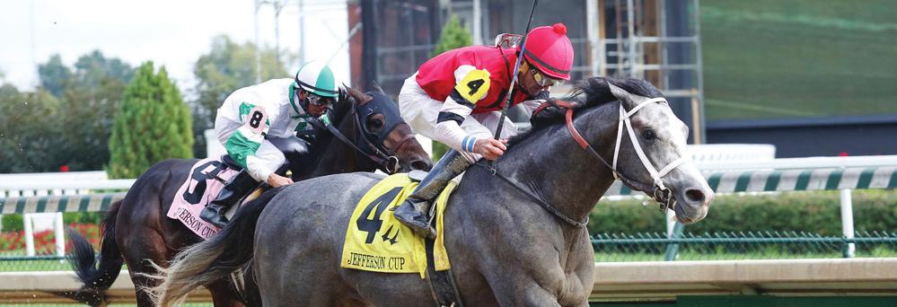 FALL RACING CAN TEACH US ABOUT THE NEXT KENTUCKY DERBY by Alastair Bull Appropriately, the official Road to the Kentucky Derby begins at the place it ends, Churchill Downs, with the Iroquois Stakes