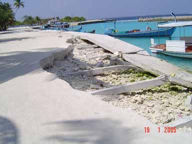 The tsunami caused damage to island beach lines and coastal vegetation (Plate 9). Plate 9.