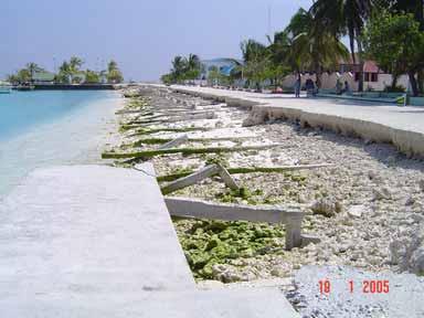 Natural protection of islands is also afforded by raised beach berms on the windward sides of some islands.