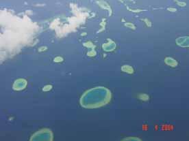 Naseer and Hatcher (2004) quantified the coral reefs of the Maldives using satellite imagery and provided the most detailed quantifications of the Maldives reefs to date.