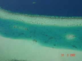 This destructive activity was phased out under a major environmental awareness programme and the introduction of a viable alternative for coral mining in the 1990s.