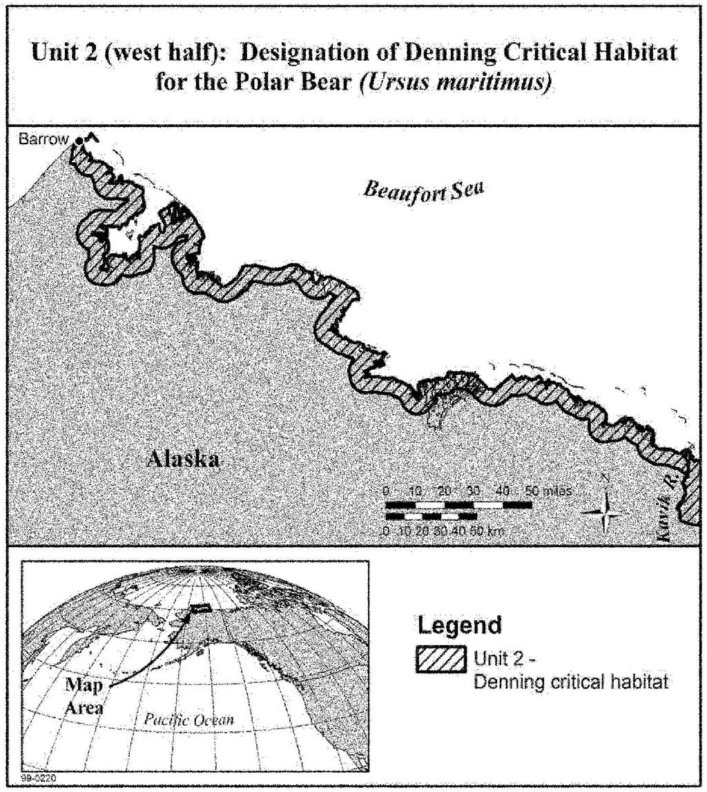FWS chose not to include it within the designation because studies indicated that polar bears rarely den that far west, likely on account of a lack of access to sea ice in the fall.