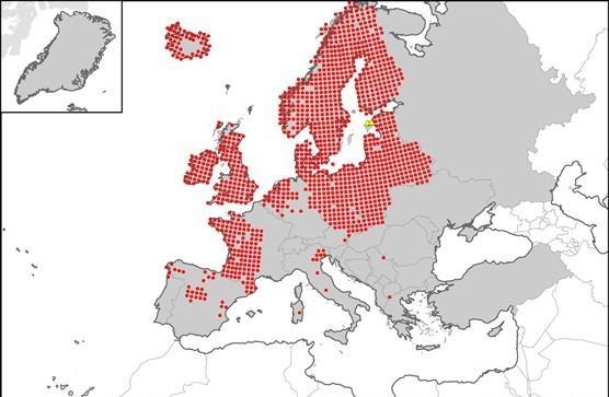 Belgium, Netherlands, Portugal etc. The most accurate distribution area of American mink in Europe in 2009 (Genovesi et al. 2009) is presented below.