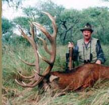 Argentina Red Stag Hunt #2 With about 37,500