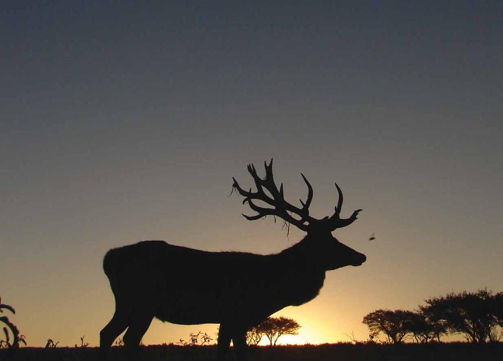 about us Hunting is what we do. That s why we can provide you with one of the best free range full-service hunts in Argentina conducted in our La Pampa private Ranches.