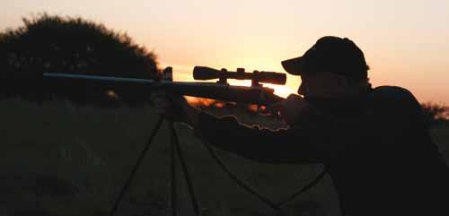 On top of this, hunters can opt for some of the best Dove and Pigeon sessions ever experienced.