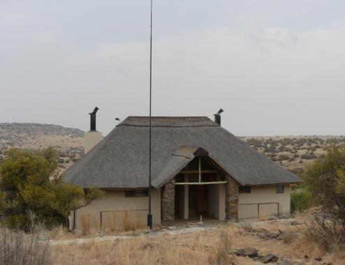 Steenbok, Common