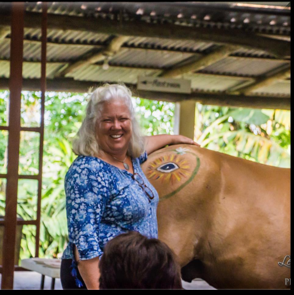 Horses found their way into Debbie s life serendipitously after the move to Costa Rica and as her knowledge and interest grew, so did her herd of horses.