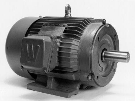 SECTION III: Motor Coupling A. All WorldWide Electric Motors are suitable for: 1. Belt drive applications 2. Direct coupled applications 3. Flange mount (C and D) applications.