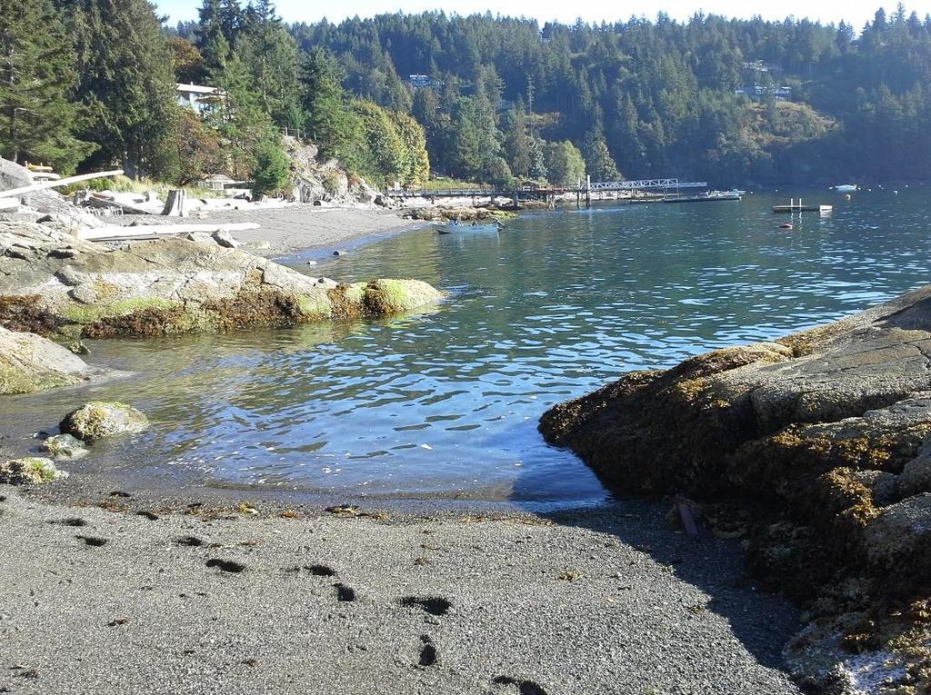 BOWEN ISLAND Surf smelt and Pacific sand lance Beach-Spawning Forage Fish Habitat Assessment Report Review April