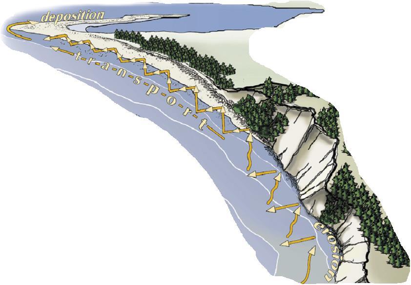 PROTECTING SHORELINES means understanding how they are eco-engineered DRIFT CELL MANAGEMENT Beaches are largely derived from land based sources of sediment bluff erosion (80-90%