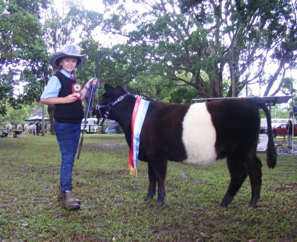 Yea Show A first for Balytyckle Miniature Galloways I decided to take my newly halter broken youngsters to Yea Show, as it is just around the corner, and