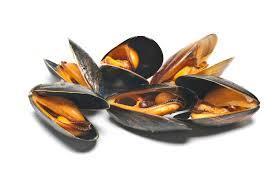 Who is a Mussels Shopper?