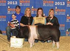 By: Lettow Show Pigs Exhibitor: Bailey Wilhelm Grand