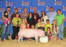 Houston Livestock Show SGI 2501 Change Of Pace Bred By: