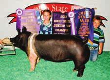 Middle Weight & 5th Overall 2013 Iowa State FFA Show SGI