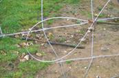 Tealers made from fence-wire are easy to conceal, set and make. 4. Snares must be firmly anchored. 5.