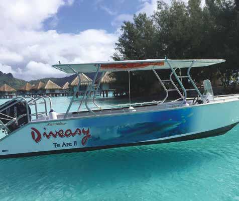 Diveasy Private Diving Activity description: Diveasy lets you customize your diving experience, with a private boat, instructor and captain dedicated